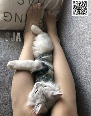 原来你还在这里高清在线_BD韩语神马影院在线